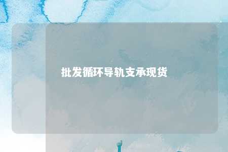 批发循环导轨支承现货 