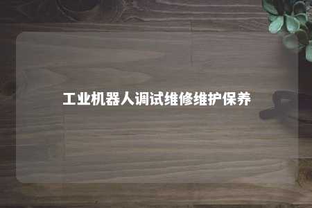 工业机器人调试维修维护保养 